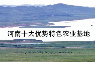 8月19日，河南省政府發(fā)布了關(guān)于深入推進農(nóng)業(yè)供給側(cè)結(jié)構(gòu)性改革 大力發(fā)展優(yōu)勢特色農(nóng)業(yè)的意見