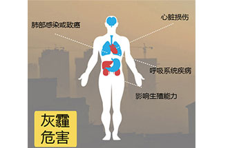 空氣中PM2.5 是由什么物質組成的？