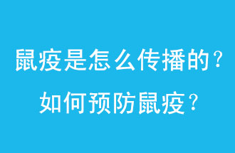 鼠疫是怎么傳播的？如何預(yù)防鼠疫？